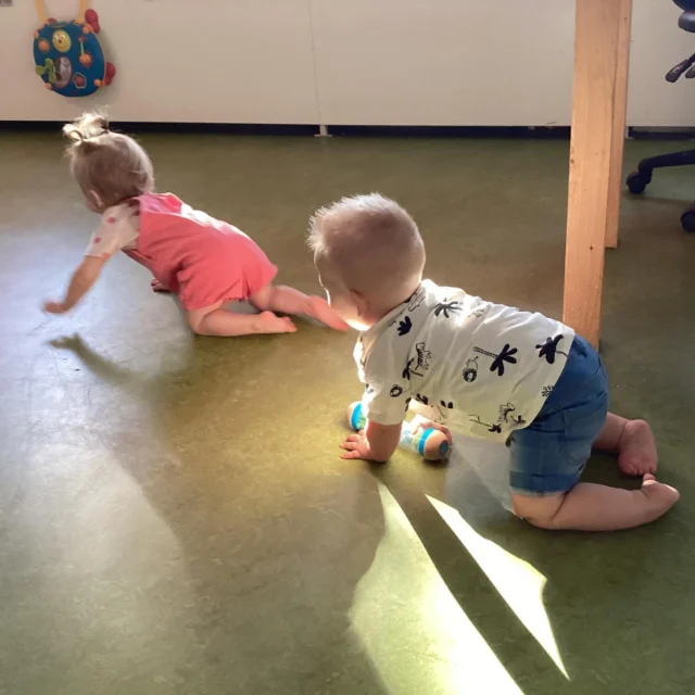 Als de deur naar de peutergroep even openstaat, worden de kinderen van de babygroep Anna Paulownastraat direct nieuwsgierig en gaan een kijkje nemen. 👀 

Door af en toe bij de peutergroep te spelen, wordt de overgang naar hun tweede jaar een stuk makkelijker, omdat ze de omgeving al kennen.

#Kinderen #Nieuwsgierigheid #Overgang #Peutergroep #Babygroep #Speeltijd #vertrouwdeomgeving