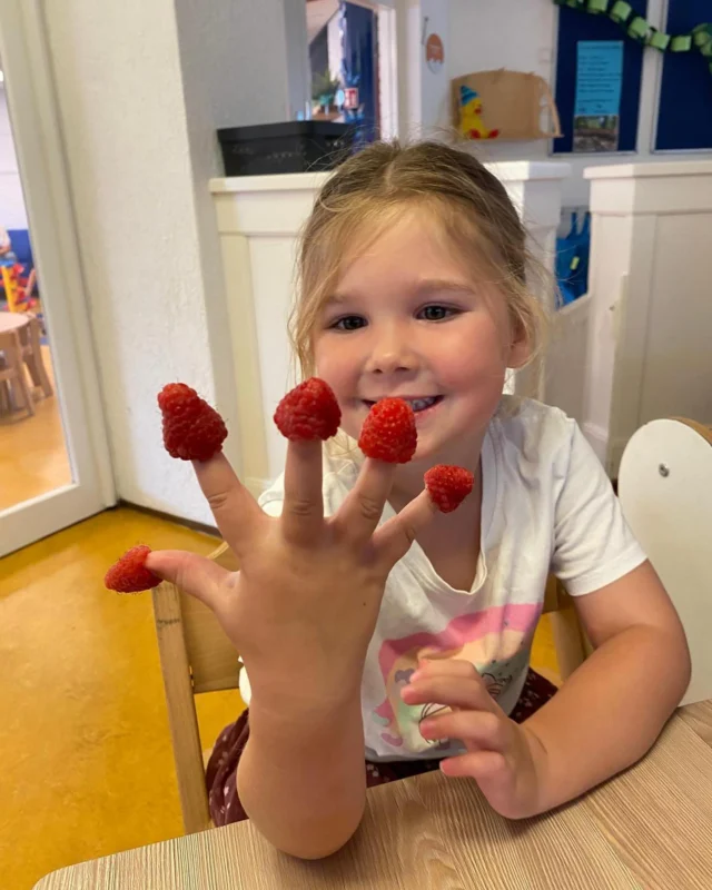 Jong geleerd is oud gedaan, en dat geldt zeker als het gaat om een gezonde leefstijl. Kinderopvang speelt hier een belangrijke rol in. 🍎

Bij Klein Alkmaar besteden we bewust aandacht aan het voedingsaanbod voor de kinderen in onze vestigingen. Gezonde voeding en aandacht voor de wereld om ons heen zijn belangrijke pijlers van ons pedagogisch beleid. Op onze website kun je hier meer over lezen.

We hanteren een vast dagritme waarin we deze gezonde voeding aanbieden. Op het Arkplein smullen de kinderen van heerlijke frambozen. “Dat is grappig, ze kunnen ook aan je vingers vastzitten!” 🍇

#gezondeleefstijl #voedingsbeleid #JOGG #bewustekeuzes #gezondevoeding #duurzaamheid #dagritme