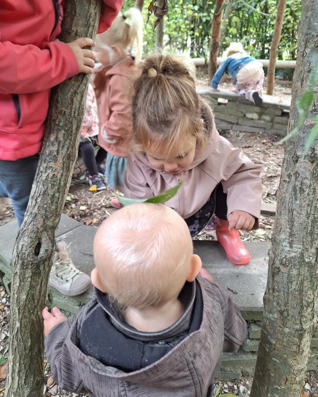 Op het plein van de Beethovensingel spelen de peutergroepen en babygroepen samen buiten. Samen ontdekken, samen leren! 🍁🍁

#samenbuiten #lerenvanelkaar #beethovensingel #herfst #babygroep #peutergroep #spelen