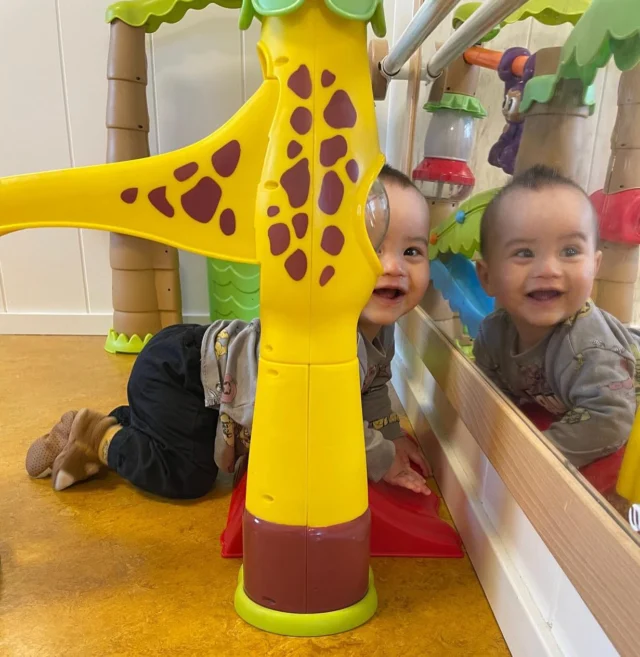 Kiekeboe! 👀 

Het favoriete spelletje van onze baby’s! 🎉 
Door kiekeboe te spelen, leren baby’s dat iets wat uit het zicht is, niet echt weg is. Dit spelletje helpt bij de ontwikkeling van hun geheugen en zorgt voor heel veel vrolijke lachjes! 😊✨

📍Babygroep Arkplein

#kiekeboe #babygeluk #spelendleren #ontwikkeling #babygroep #groteontdekkingen #spelletje