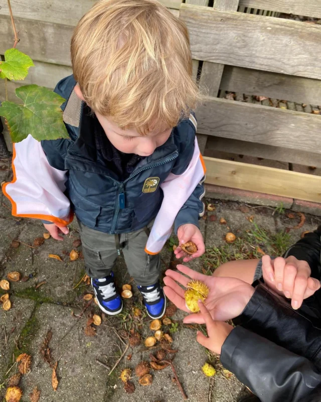 Wij spelen elke dag buiten, ook op het Arkplein 🍁

De kinderen gingen naar het speeltuintje achter de vestiging. De herfst laat zich nu goed zien en daar horen natuurlijk kastanjes bij! 🌰🍂

#herfstpret #buitenspelen #kastanjeszoeken #frisselucht #Arkplein #natuurontdekkers #frisseneus