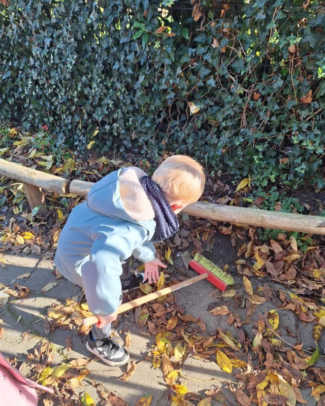 Bladeren vegen met de peuters! 🍁 

Samen houden we het plein netjes en leren we spelenderwijs hoe belangrijk het is om voor onze omgeving te zorgen. Een leerzame herfstactiviteit! 🍂 

Kleine handen, groot plezier bij Peutergroep Beethovensingel. 

#herfstactiviteit #kleinehanden #grootplezier #schoneomgeving #leerzaam #vegen #frisseneus