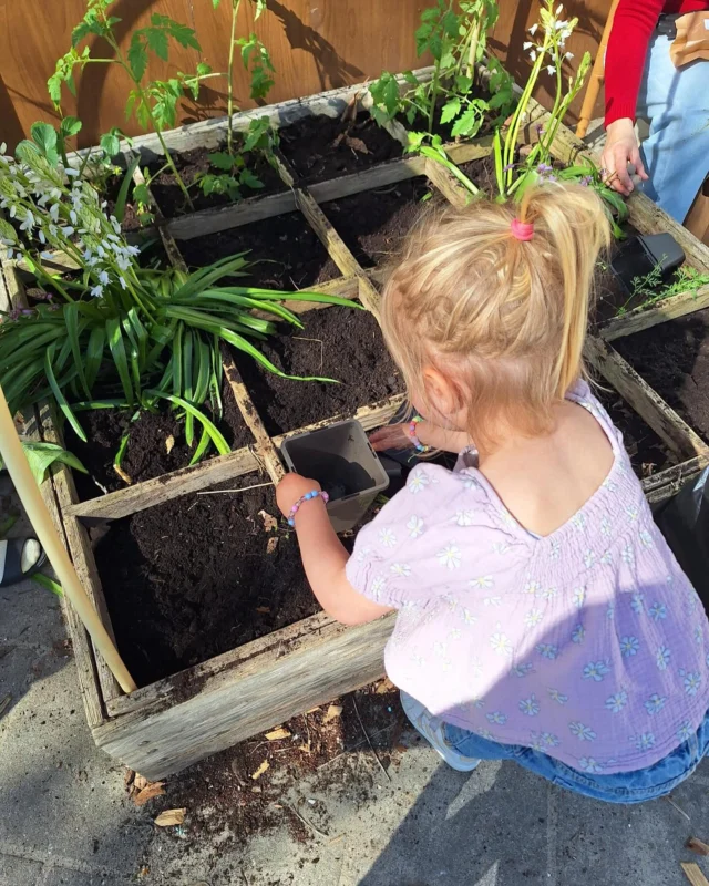 Groene vingers bij Klein Alkmaar! 🌱 
Op onze vestiging Beethovensingel wordt de moestuin weer vol liefde ingezaaid. Samen ontdekken de kinderen waar ons eten vandaan komt en hoe leuk het is om te zorgen voor de natuur.

Wij vinden Gezonde Kinderopvang belangrijk, daarom besteden we daar op verschillende manieren aandacht aan.

Benieuwd naar onze Gezonde Kinderopvang, onze (groene) activiteiten en bewuste keuzes? 🍀
🔗 Meld je aan voor een rondleiding via de link in de BIO. 
🔗 Of kijk op onze website. 

#moestuin #kleinalkmaar #gezondekinderopvang #duurzaamopvoeden #natuurlijkspelen