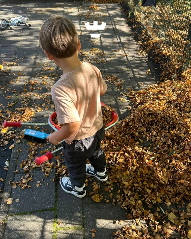 Onze peuters en dreumesen genieten volop van het buiten zijn. Samen spelen met de blaadjes, helpen met vegen én natuurlijk veel plezier maken op de glijbaan 🍁🛝