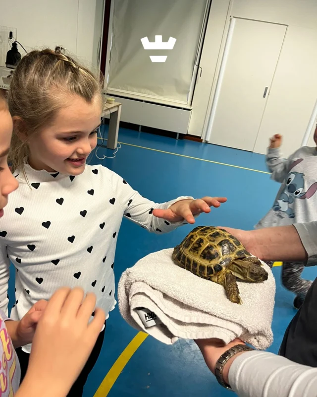 Herfstvakantie bij Klein Alkmaar 🍂De kinderen van de BSO gingen afgelopen week op ontdekkingstocht:
-@dierdocent kwam langs met haar bijzondere (exotische) dieren 🐢
-De kinderen knutselden hun eigen fantasiewereld in een kijkdoos 👀
-Volle focus tijdens een ontspannen yogales van @dansstudiodagmar 🧘‍♂️
-En we gingen op stap met @bosw8er.nl Evert-Jan 🌲Het was een heerlijke week 💛