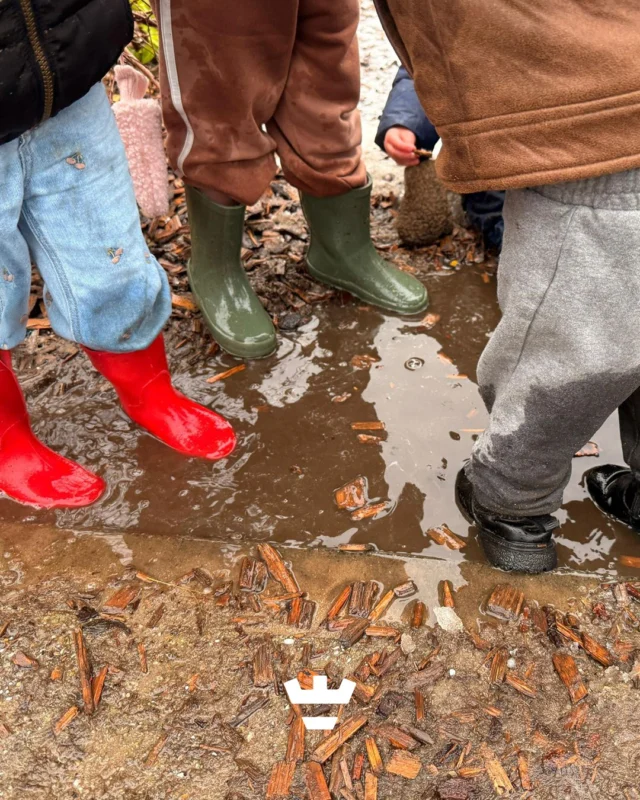 Een beetje regen houdt ons niet tegen 😉De kinderen van de verticale groep aan de Heilooërdijk sprongen in alle plassen die ze tegenkwamen 🌧️