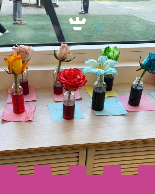 BSO Drechterwaard is dol op het uitvoeren van experimenten. Deze keer gingen we aan de slag met bloemen 🌷We mengden kleurstof met water en deden dit in kleine flesjes. Daarna verwijderden de kinderen voorzichtig de blaadjes van de steel en plaatsten de bloemen in het gekleurde water.En toen begon het wachten… 👀 Langzaam zagen we de bloemen van kleur veranderen. Wat een spektakel!