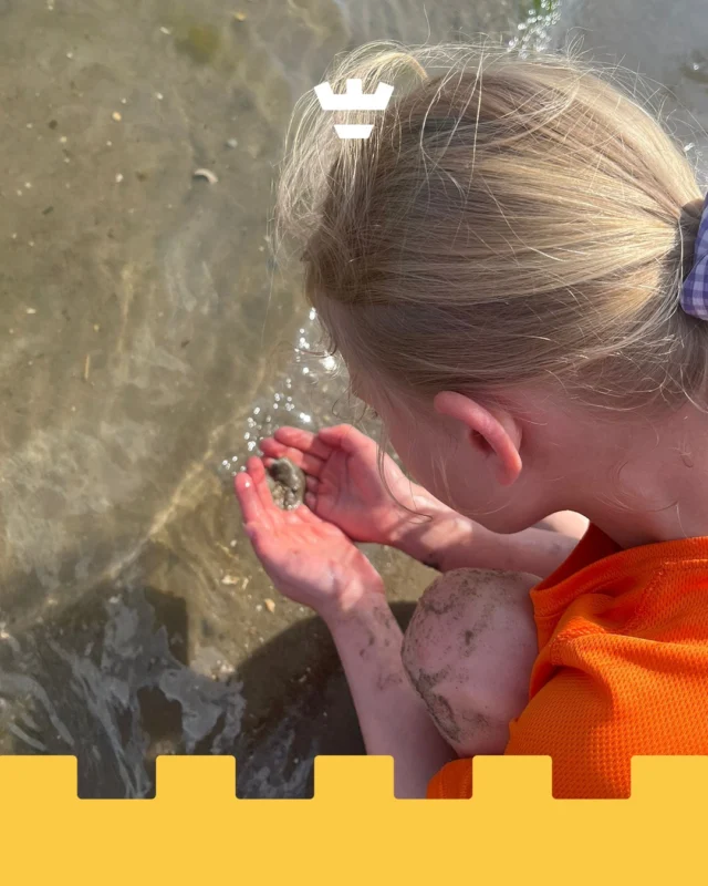 Deze week laat de zon zich wat minder zien 🌦️, maar gelukkig kunnen we nog nagenieten van het heerlijke zomerweer van vorige week!De kinderen van BSO Olympiaweg genoten van een heerlijke middag bij het strand van Luna. Daar werd volop gespeeld met water en zand. Met vieze handen en natte voeten werd er eindeloos ontdekt en geëxperimenteerd 🏖️💦Ook op de vestiging zelf was er volop waterpret. Er werd buik gegleden over een zeil vol sop en water, door de sproeier gerend en vooral heel veel gelachen 😄